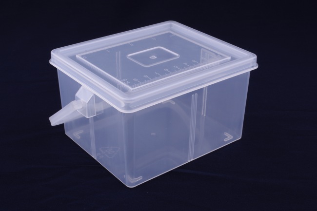  Plastic Storage Earring Boxes