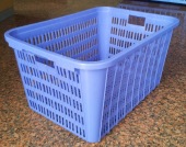  Agriculture Harvesting Plastic Basket