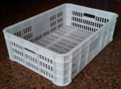 FOOD Plastic Storage Baskets