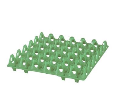 30Egg Tray